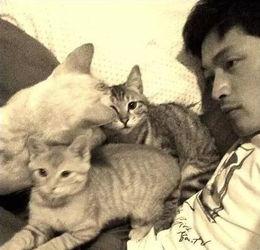 娱乐吃瓜君猫爷